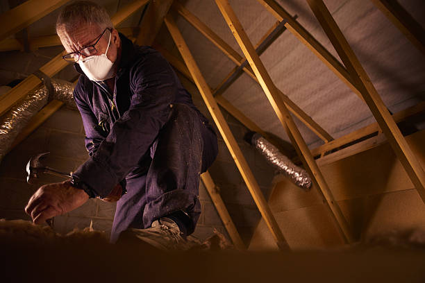 Best Insulation for Specific Applications in Gulfport, MS
